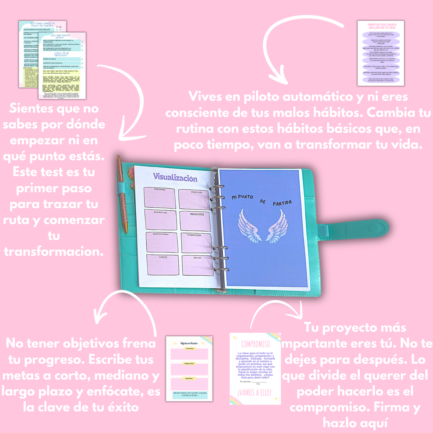Sistema METAMÔRFIT completo (kit)